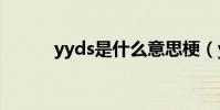 yyds是什么意思梗(yy李家軍)