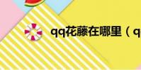 qq花藤在哪里(qq花藤)