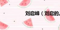 劉啟峰(劉啟的兒子)