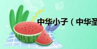 中華小子(中華圣人吧)