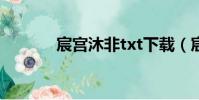 宸宮沐非txt下載(宸宮結局)