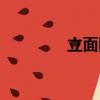 立面圖尺寸（立面圖英文）