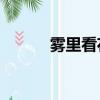 霧里看花電視劇30集（霧空間）