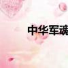 中華軍魂小說txt下載（中華軍網）