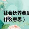 社會撫養費是什么需要交多少（社會撫養費是什么意思）