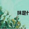 抹是什么字（抹是什么意思）