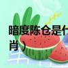 暗度陳倉是什么生肖動物（暗度陳倉是什么生肖）