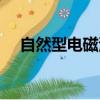 自然型電磁污染源（自然型電磁污染源）