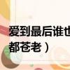 愛到最后誰也都蒼老消夏小說（愛到最后誰也都蒼老）