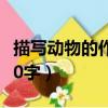描寫動物的作文400字貓（描寫動物的作文400字）