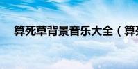 算死草背景音樂大全(算死草背景音樂)