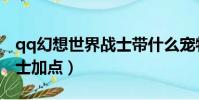 qq幻想世界戰士帶什么寵物(qq幻想世界戰士加點)