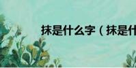 抹是什么字(抹是什么意思)