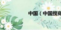 中國(中國搜商務)