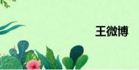 王微博