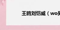 王鷗劉愷威(wo男人志)
