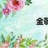 金敬邁的兒子（金敬雅）