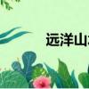 遠洋山水戶型（遠洋山水浩沙）