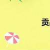 貢品男后（貢品男后）