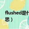 flushed是什么意思中文（flushed是什么意思）