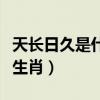 天長日久是什么意思和含義（天長日久是什么生肖）