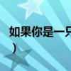 如果你是一只火鳥曾小賢（如果你是一只火鳥）