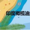 印度橄欖油進口物流清關（印度橄欖油）
