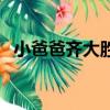 小爸爸齊大勝結局（小爸爸齊大勝死了嗎）