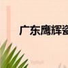 廣東鷹輝瓷磚有幾個系列（廣東鷹壇）