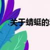 關于蜻蜓的動漫名字（關于蜻蜓的資料）