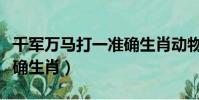 千軍萬馬打一準確生肖動物(千軍萬馬打一準確生肖)