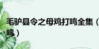 毛驢縣令之母雞打鳴全集(毛驢縣令之母雞打鳴)