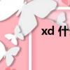 xd 什么股票（xd 什么意思）