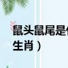 鼠頭鼠尾是什么生肖73期（鼠頭鼠尾是什么生肖）