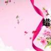 蠟筆傳奇（蠟筆傳奇）