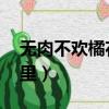 無肉不歡橘花散結局解析（無肉不歡 橘花散里）