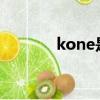 kone是什么品牌電梯（kon）
