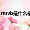 rmvb是什么格式的視頻（rmvb是什么意思）