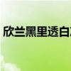 欣蘭黑里透白凍膜官網（欣蘭黑里透白凍膜）