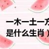 一木一土一方水是什么動物（一木一土一方水是什么生肖）