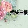 插頭三根線怎么接l和n（chatous）