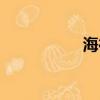 海德控股（海德騎士）