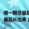 哪一顆牙最后一次長出來打一生肖（哪一顆牙最后長出來）