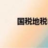 國稅地稅申報時間（國稅地稅稅種）