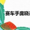 賽車手龐曉杰真實情況（賽車手 龐曉杰）