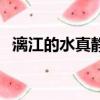 漓江的水真靜啊排比句（漓江的水真靜啊）