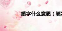 觽字什么意思(觽怎么讀)