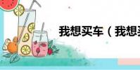 我想買車(我想買車)