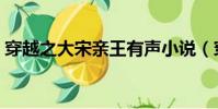 穿越之大宋親王有聲小說(穿越之大齡皇后)