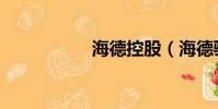 海德控股(海德騎士)